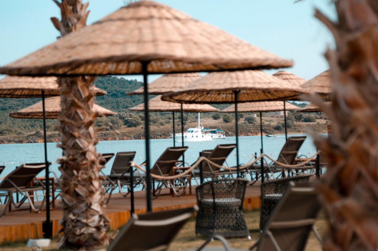 Cunda Fora Glamping Hotel Ayvalı Kültér fotó